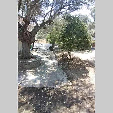 Nefolia Tatil Evi Vourvourou