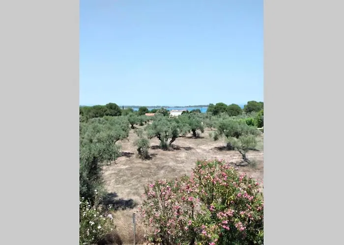 Nefolia Сasa de vacaciones