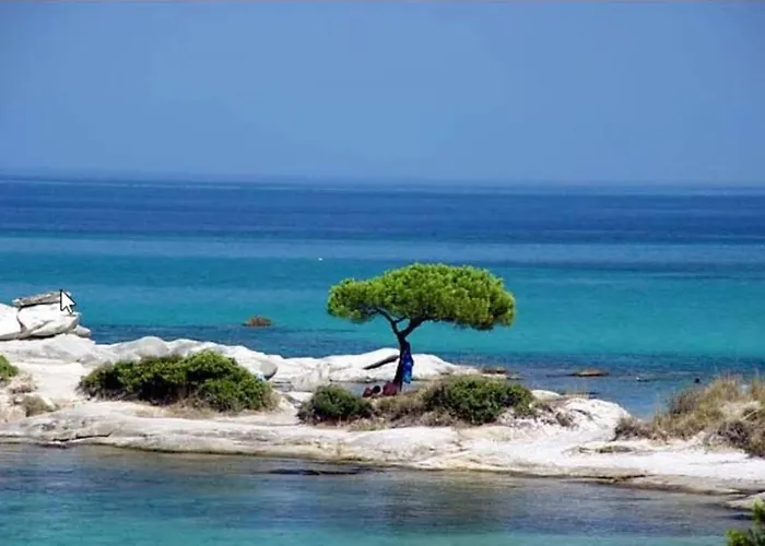 Nefolia Сasa de vacaciones Vourvourou