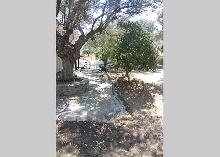 Nefolia Case de vacanță Vourvourou