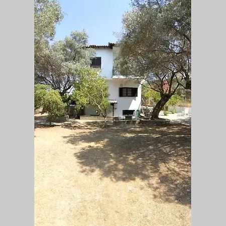 Nefolia Дом отдыха *